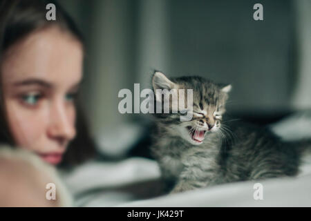 Caucasian woman watching yawning kitten Stock Photo