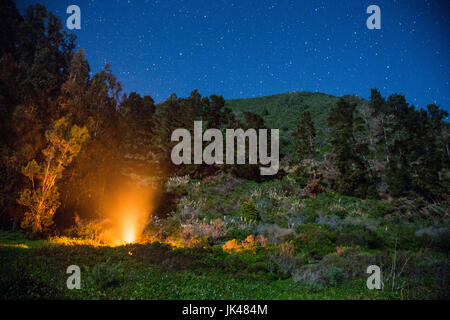 Campfire at night under starry sky Stock Photo