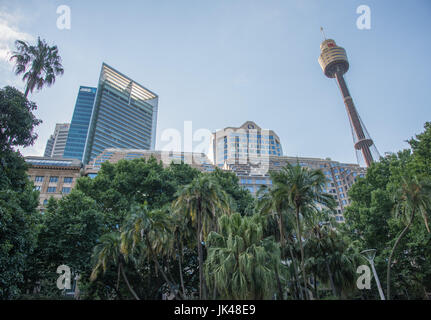 SYDNEY,NSW,AUSTRALIA-NOVEMBER 18,2016: Centrepoint Tower and other buildings from low angle view at Hyde Park in Sydney, Australia Stock Photo