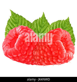 Isolated rasberries. Two raspberry isolated on white backgdound as package design element. Natural food. Stock Photo