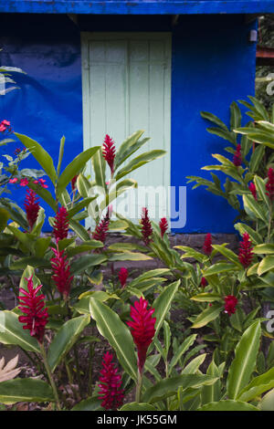 France, Reunion Island, East Reunion, Piton Ste-Rose, blue Creole house with Red Ginger flowers, alpinia purpurata Stock Photo