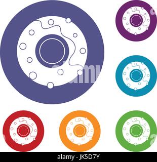 Delicious donut dessert icons set in flat circle red, blue and green color for web Stock Vector