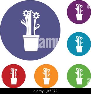 Flowering cactus icons set in flat circle red, blue and green color for web Stock Vector