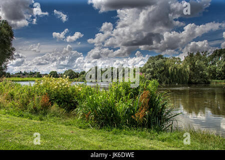 Melton Mowbray 22nd July 2017: Dark clouds  with a cool wind and down pours of rain, bad weather  not stopping this dog from enjoying the lake with local wildlife. Clifford Norton/Alamy Live News Stock Photo