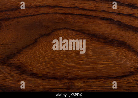 The texture of the wood from old tree. Stock Photo