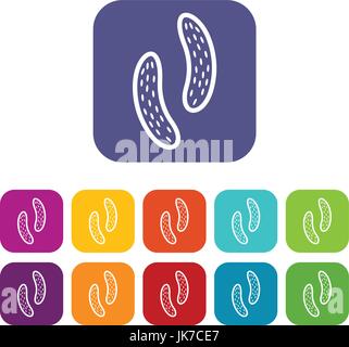 Epithelial cell icons set Stock Vector