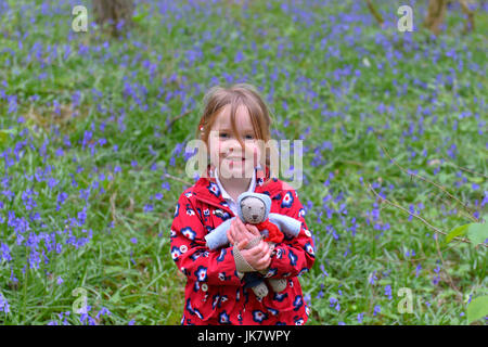 Three year old girl with soft toy in bluebell wood Stock Photo