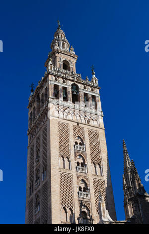 Spain, Andalucia Region, Seville Province, Seville, The Cathedral, the Giralda tower Stock Photo