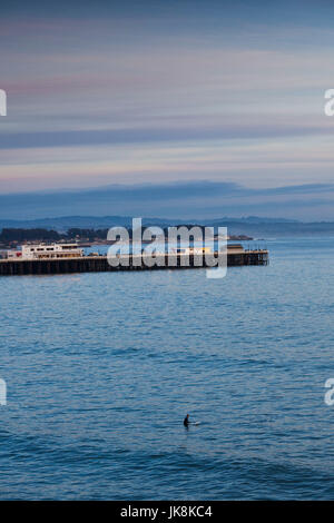 USA, California, Central Coast, Santa Cruz, Municipal Wharf, sunset Stock Photo