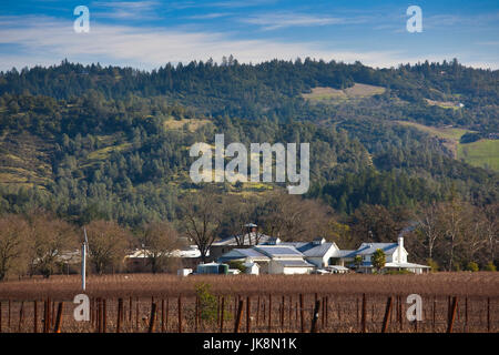 USA, California, Northern California, Napa Valley Wine Country, Calistoga, Napa Vineyard Stock Photo