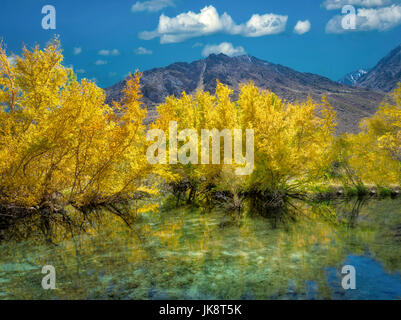 Small beaver pond on McGee Creek with fall color. Eastern Sirra Nevada mountains, California