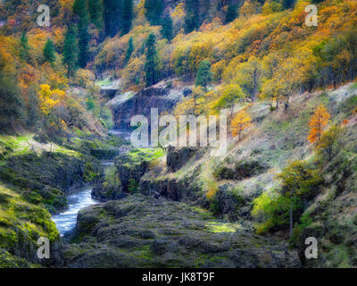 Klickitat River with fall color. Washington Stock Photo