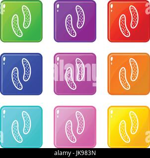 Epithelial cell set 9 Stock Vector