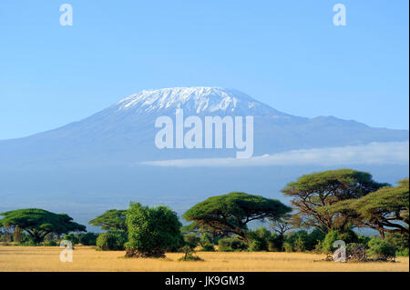 Snow on top of Mount Kilimanjaro in Amboseli Stock Photo