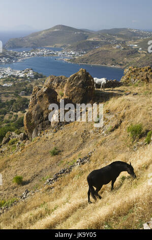 Griechenland, Patmos, Chora, Hügel, Wiese, Pferde, Stock Photo