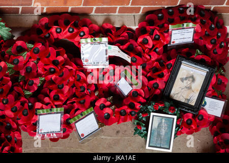 France, Picardy Region, Somme Department, Somme Battlefields, Villers-Bretonneux, Australian National War Memorial to soldiers lost during World War One, poppies and photographs Stock Photo