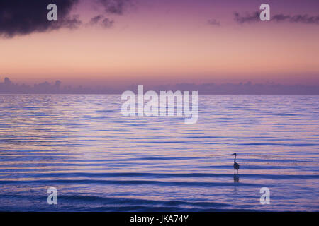 higgs key west beach florida alamy dawn keys usa