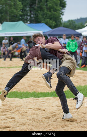 Schwing Festival Swiss Wrestling Stock Photo