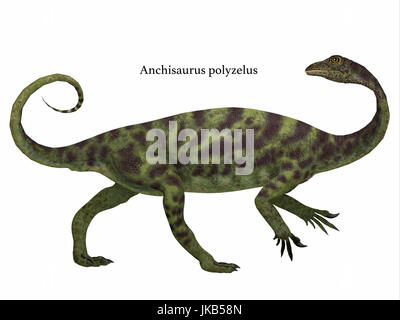 Anchisaurus was a omnivorous prosauropod dinosaur that lived in the Jurassic Periods of North America, Europe and Africa. Stock Photo
