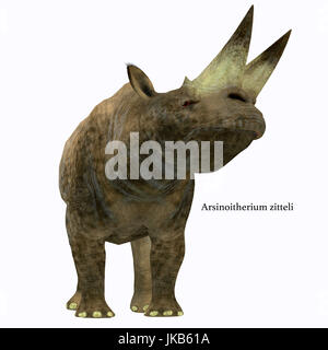 Arsinoitherium was a herbivorous rhinoceros-like mammal that lived in Africa in the Early Oligocene Period. Stock Photo