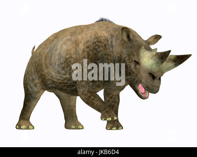 Arsinoitherium was a herbivorous rhinoceros-like mammal that lived in Africa in the Early Oligocene Period. Stock Photo