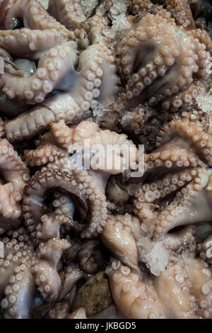 Greece, Central Greece Region, Athens, Central Market, octopus Stock Photo