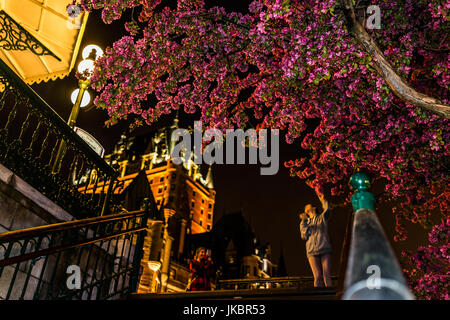 Quebec City, Canada - May 31, 2017: People taking pictures by illuminated crabapple blossom tree by escalier Frontenac at night Stock Photo