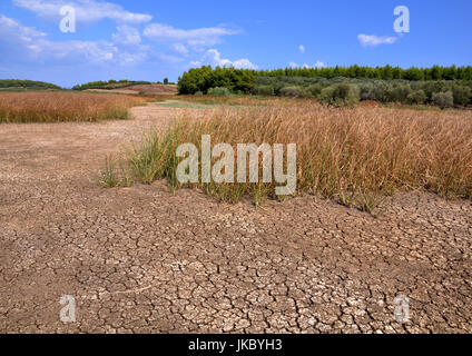Dry earth background texture Stock Photo