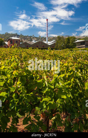 Australia, South Australia, Adelaide-MacGill, Penfolds Magil Estate Winery and vineyards, oldest winery in South Australia, winery buildings, exterior Stock Photo