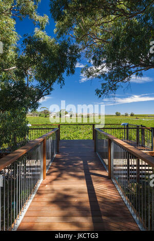 Australia, South Australia, Fleurieu Peninsula, McLaren Vale Wine Region, McLaren Vale, vineyard Stock Photo