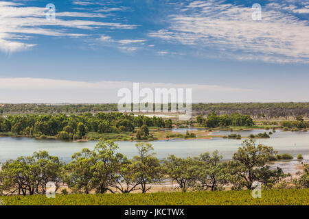 Australia, South Australia, Murray River Valley, Kingston on Murray, Banrock Station, The Wine and Wetland Centre, landscape Stock Photo