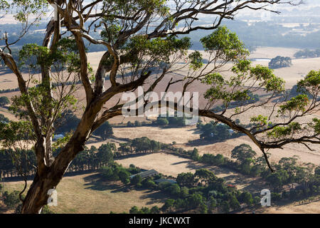 Australia, Victoria, VIC, Buninyong, elevated view of landscape from Mount Buninyong Stock Photo