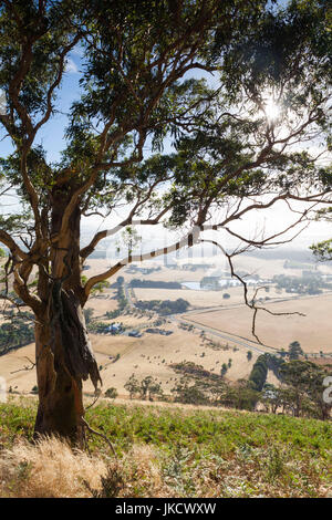 Australia, Victoria, VIC, Buninyong, elevated view of landscape from Mount Buninyong Stock Photo