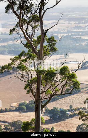 Australia, Victoria, VIC, Buninyong, elevated view of landscape from Mount Buninyong Stock Photo