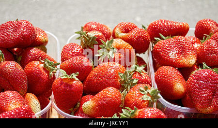 Fresh ripe strawberry - Food Frame Background Stock Photo - Alamy