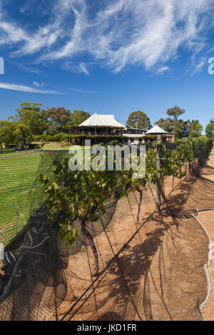 Australia, Western Australia, The Southwest, Margaret River Wine Region, Cowaramup, Vasse Felix Winery Stock Photo