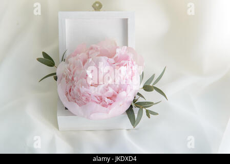 White wedding box decorated with pink peony flower on white background Stock Photo