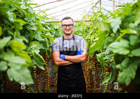 Confident man gardener in glasses standing in greenhouse with arms crossed Agriculture Stock Photo