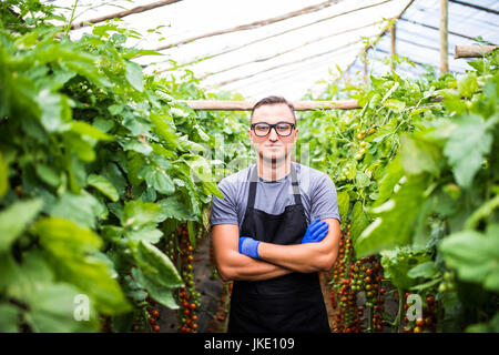 Confident man gardener in glasses standing in greenhouse with arms crossed Agriculture Stock Photo