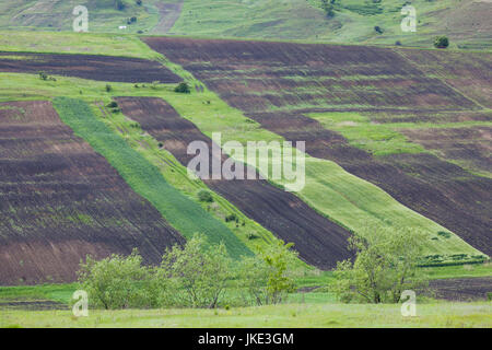 Romania, Transylvania, Iernut, spring fields Stock Photo