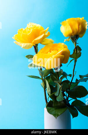 Yellow roses against turquoise blue background Stock Photo