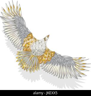 Eagle flying on white background illustration. Stock Vector