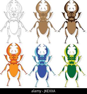 Beetle. Hand drawn sketch for adult coloring book page, T-shirt emblem, tattoo with doodle, zentangle design elements. Stock Vector