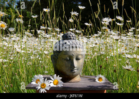 Buddha head on informal altar in meadow with ox-eye daisies. Garden shrine, June, summer Stock Photo