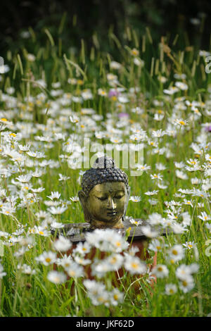 Buddha head on informal altar in meadow with ox-eye daisies. Garden shrine, June, summer Stock Photo