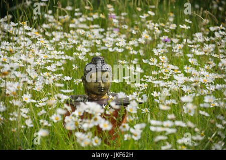 Buddha head on informal altar in meadow with ox-eye daisies. Garden shrine, June, summer Stock Photo