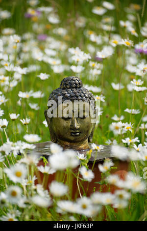 Buddha head on informal altar in meadow with ox-eye daisies. Garden shrine, June, summer Stock Photo