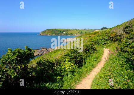 Coast Path, Küstenpfad nahe Polperro, Cornwall, England, Großbritannien Stock Photo