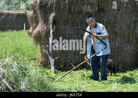 a farmer mowing the hay in a field Stock Photo