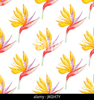 Floral watercolor seamless pattern with yellow tropical flowers on a white background Stock Photo